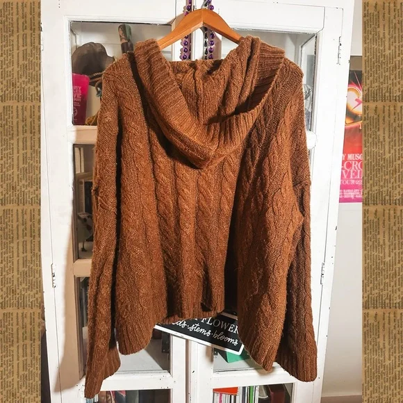 american eagle brown hooded sweater - Picture 4 of 5